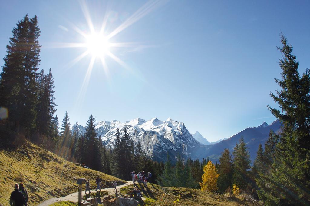 Mountain Lodge Urweider Innertkirchen Luaran gambar