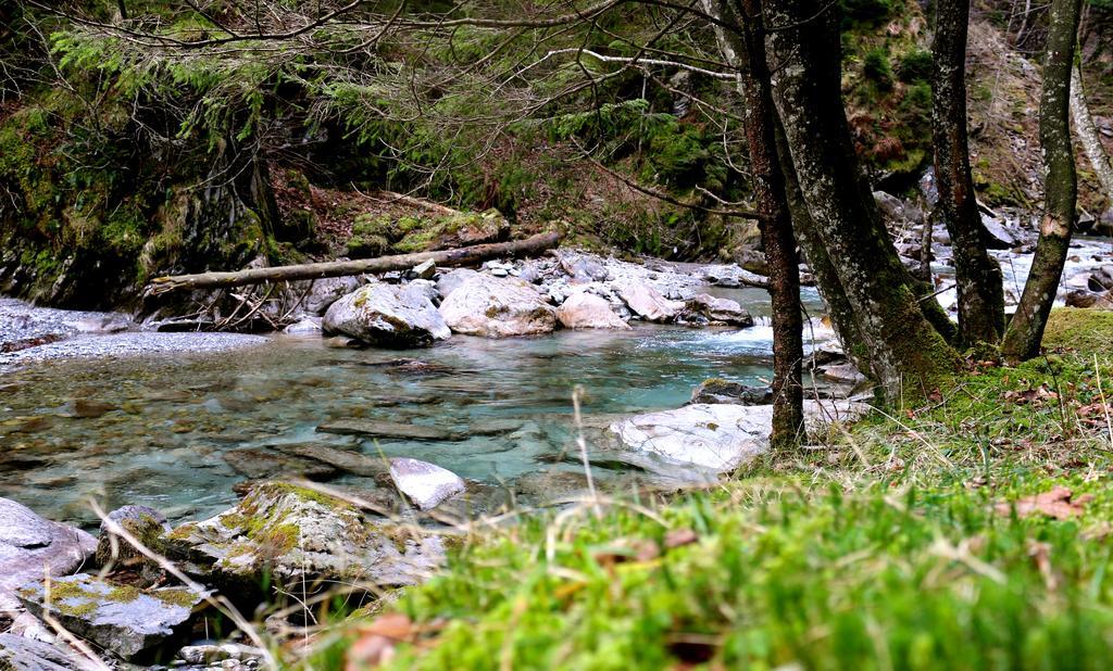 Mountain Lodge Urweider Innertkirchen Luaran gambar
