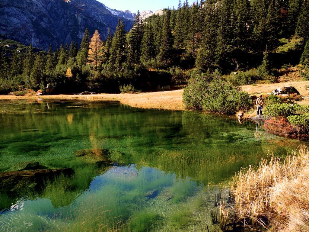 Mountain Lodge Urweider Innertkirchen Luaran gambar