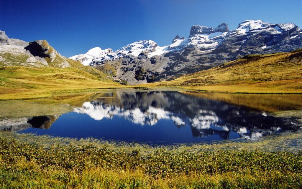 Mountain Lodge Urweider Innertkirchen Luaran gambar