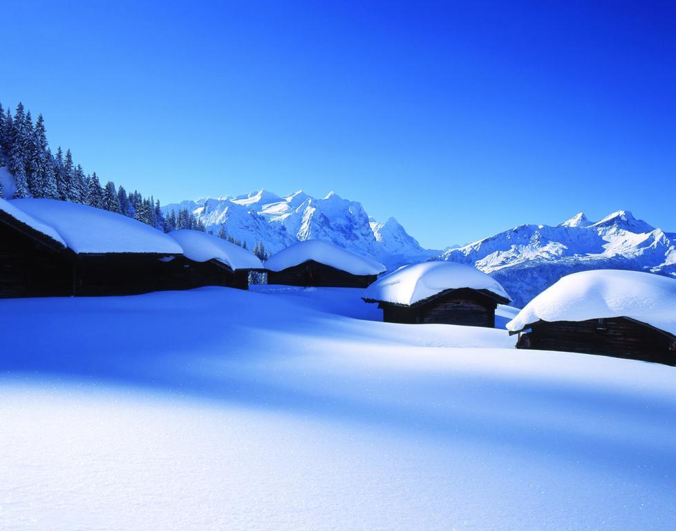 Mountain Lodge Urweider Innertkirchen Luaran gambar