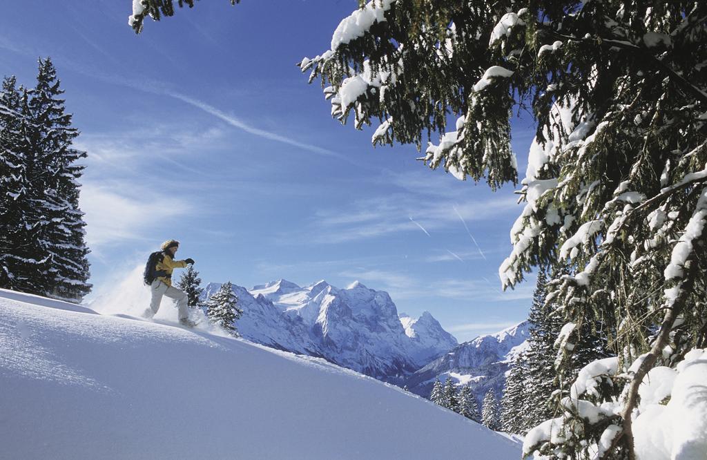 Mountain Lodge Urweider Innertkirchen Luaran gambar