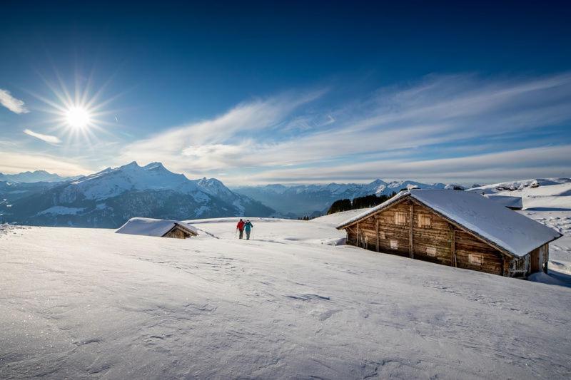 Mountain Lodge Urweider Innertkirchen Luaran gambar