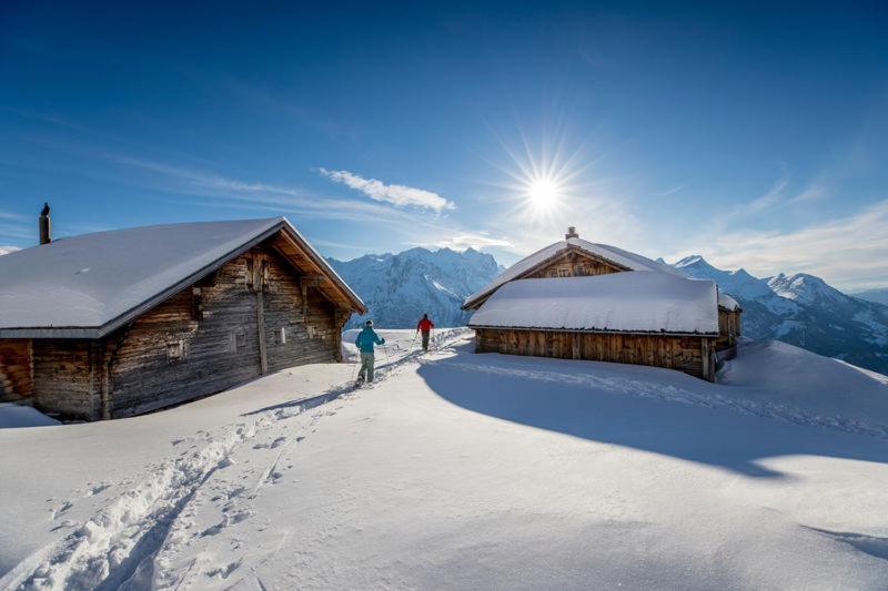 Mountain Lodge Urweider Innertkirchen Luaran gambar